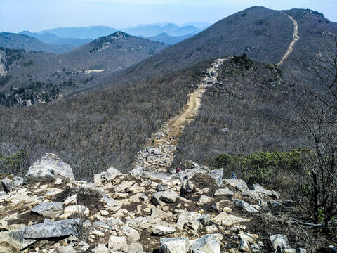 天目山風(fēng)光