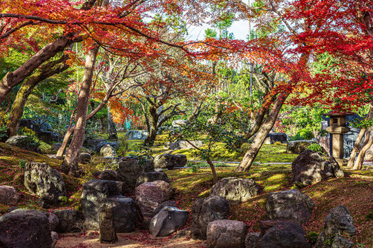 日本京都嵐山秋色