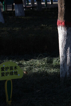 公園