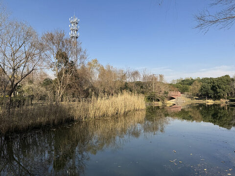 上海浦東金海濕地公園