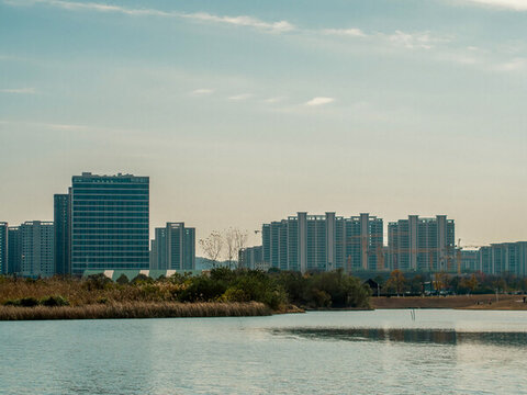 城市濕地