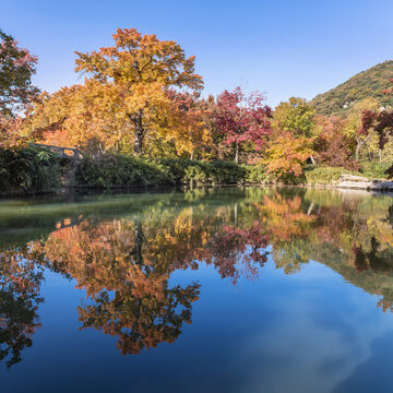 蘇州天平山秋色