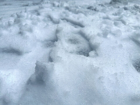 雪地