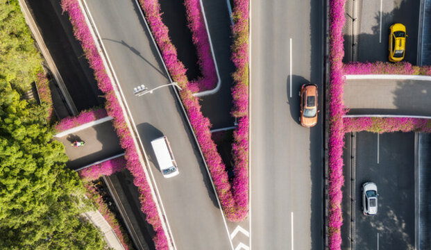 花城三角梅立交橋