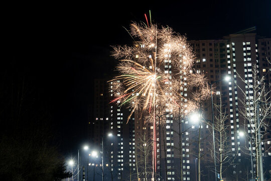 除夕夜晚煙花綻放慶祝新年