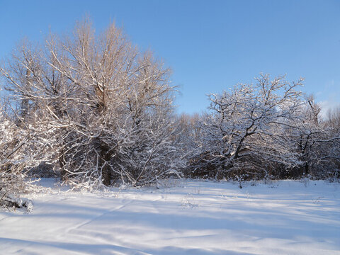 冰天雪地