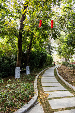 龍山美景