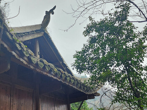 山間舊屋頂