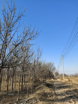 鄉(xiāng)村小路