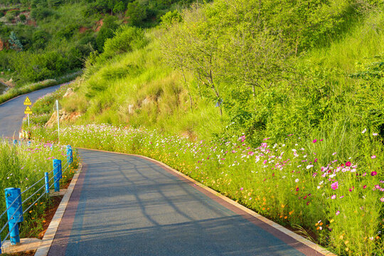 湖邊開(kāi)滿鮮花的蜿蜒道路風(fēng)景