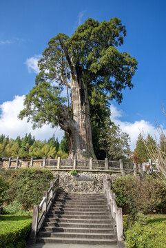 浙江麗水景寧大漈鄉(xiāng)時思寺