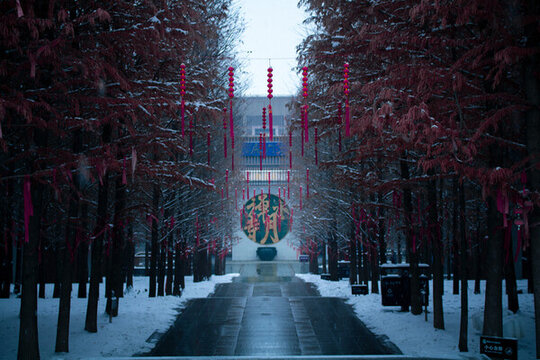 雪景