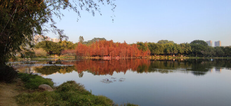公園初冬景觀