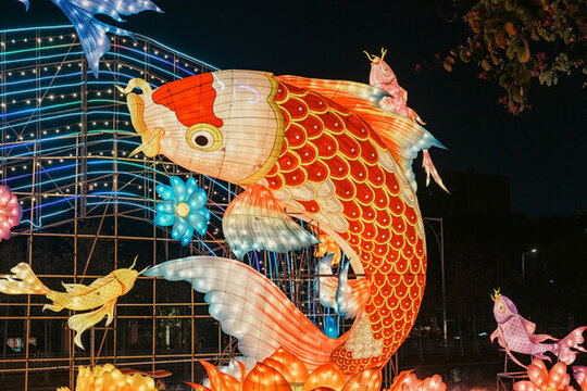 夜間鯉魚花卉大型彩燈藝術(shù)造型