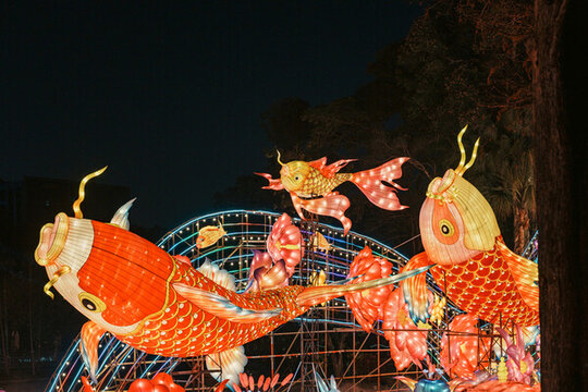 夜間大型鯉魚花卉彩燈藝術(shù)景觀