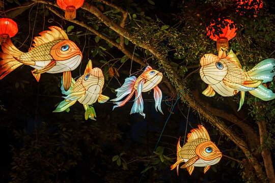 樹上多彩金魚彩燈與紅燈籠景觀