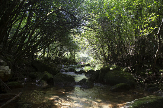 溪河流水