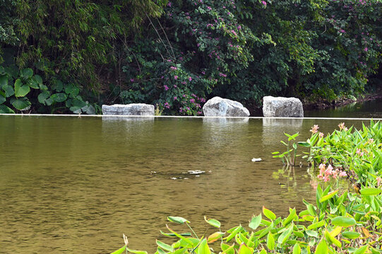 城市公園里的自然景觀