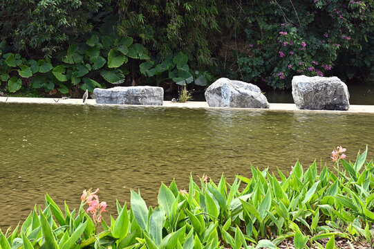 城市公園里的自然景觀