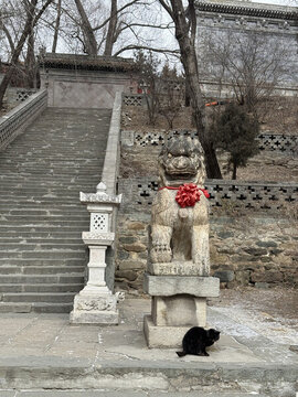 五臺(tái)山