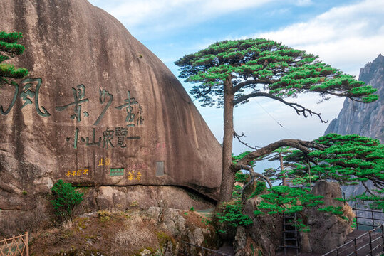 黃山迎客松