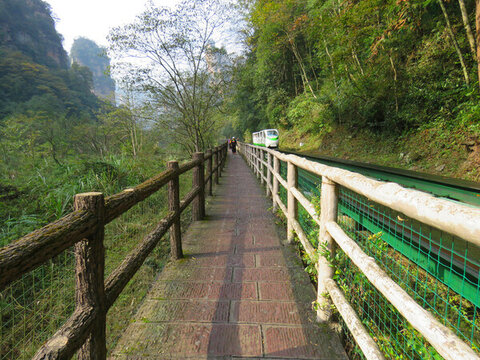 中國湖南張家界武陵源國家森林公園