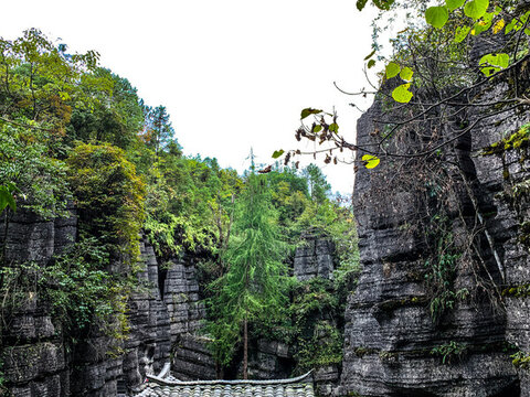 中國(guó)湖北恩施梭布埡石林旅游風(fēng)光