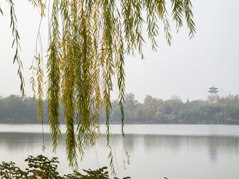 湖景