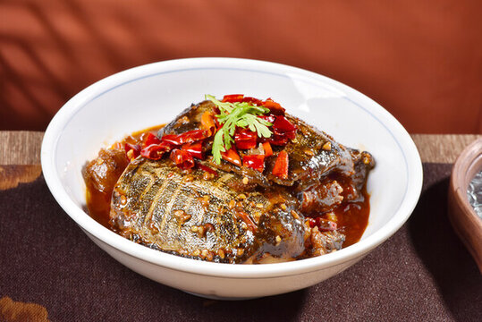 小甲魚(yú)