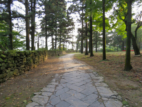 中國(guó)江西九江廬山旅游風(fēng)光