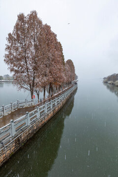 昆明大觀公園雪景