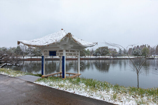 昆明大觀公園雪景