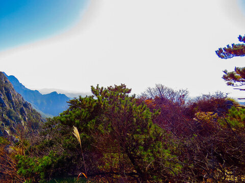 中國江西九江廬山旅游風(fēng)光
