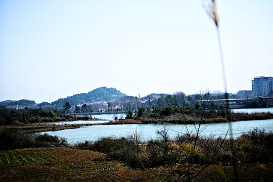 農(nóng)田
