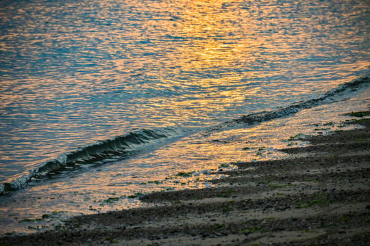 海上日出朝霞浮光躍金橘黃色大海風(fēng)光背景