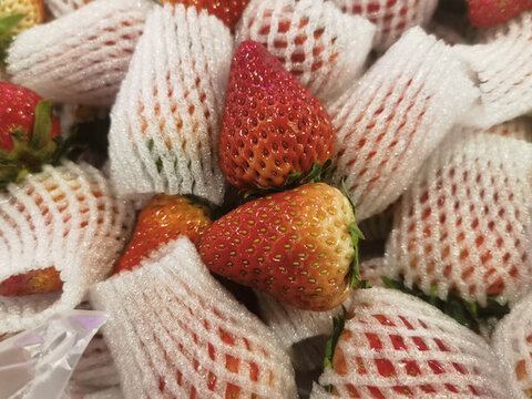 草莓