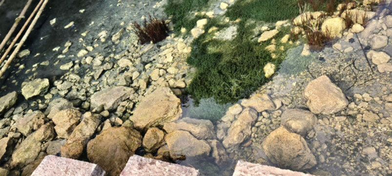 清澈的湖水