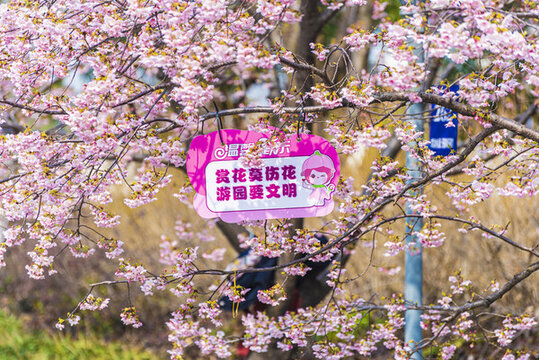 溫馨提示牌