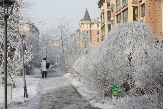 雪樹(shù)銀花