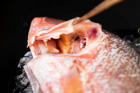 冰鮮紅魚(yú)
