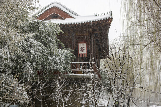 雪后濟南護城河公園黑虎泉