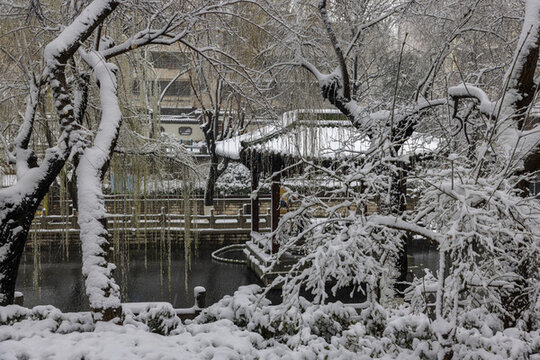 雪后濟南護城河