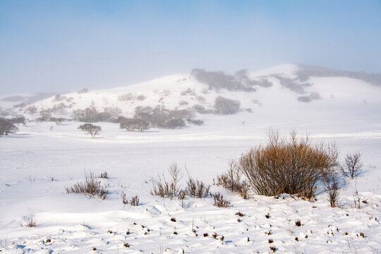 內蒙烏蘭布統草原雪景