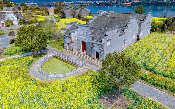 贛州贛縣區(qū)夏滸古村油菜花開美如畫