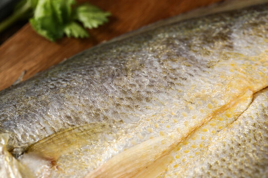 黃魚
