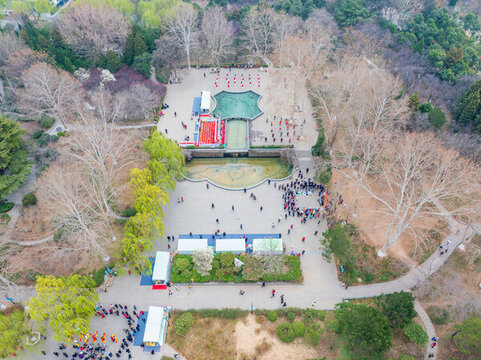 濟南百花公園玉蘭花