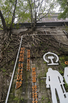 重慶九龍坡區(qū)官家林鐵道兵歷史文化墻