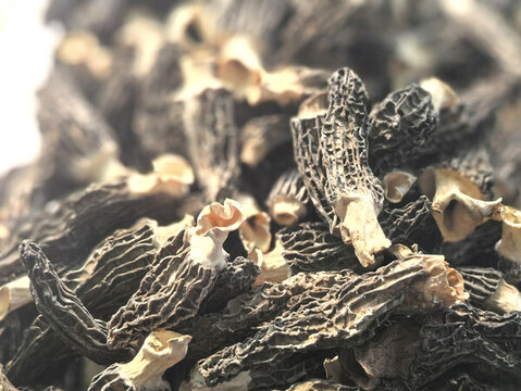 羊肚菌售賣