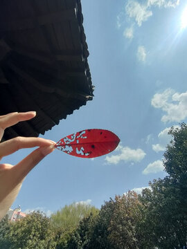 葉子