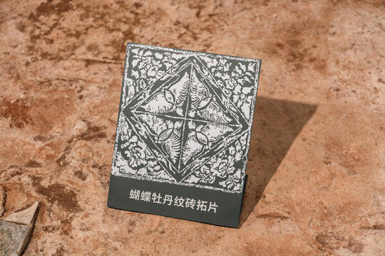 蝴蝶牡丹紋磚拓片地面展示高清圖